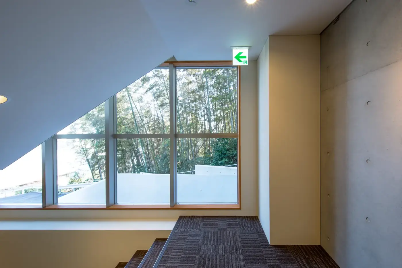 専教寺 納骨堂の窓辺